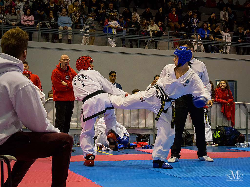 COPA SEUL, 2017  (171).JPG